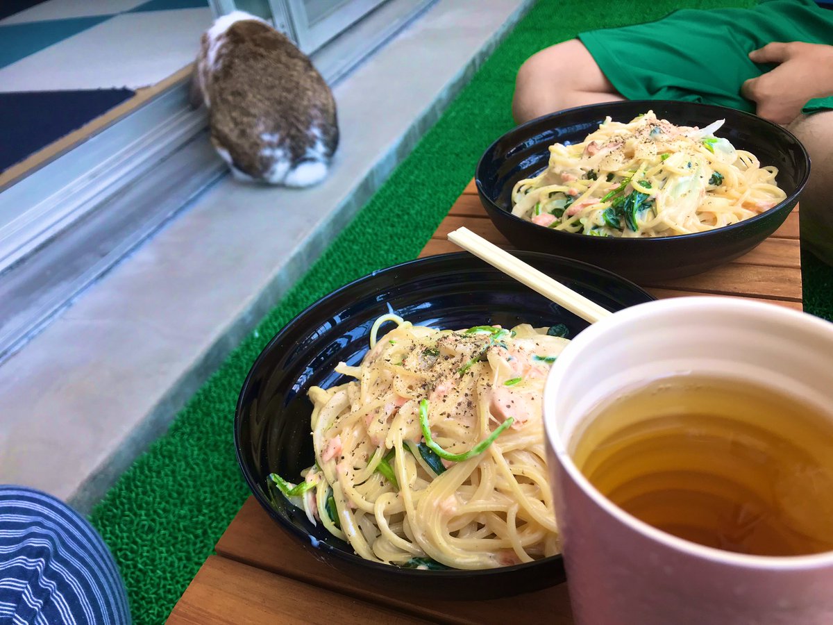ごんじり 最近の昼ごはんはごんじりがお外を喜ぶのでベランダで ごんじり 最近の昼ごはんはごんじりがお外を喜ぶのでベランダで