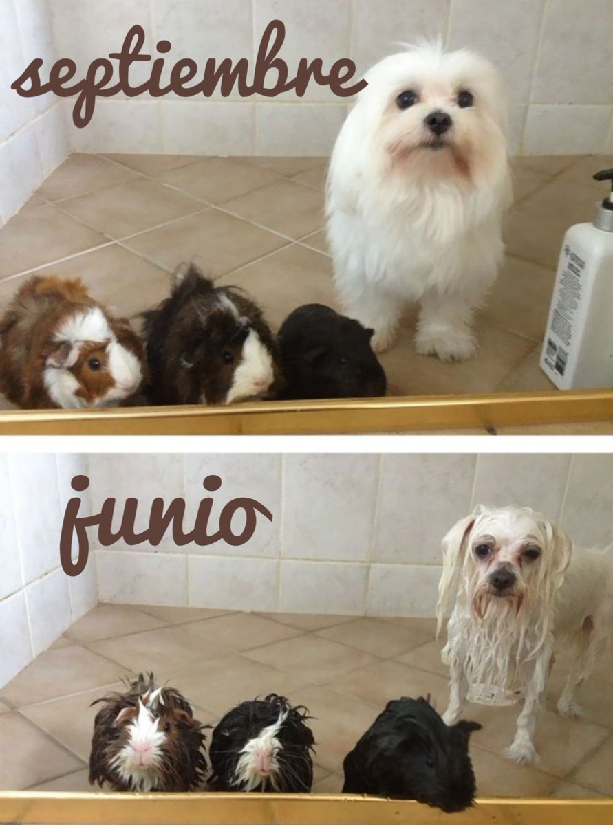 Docentes y alumnos en curso pandémico.