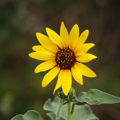 TexasInstagram's tweet image. #NewProfilePic