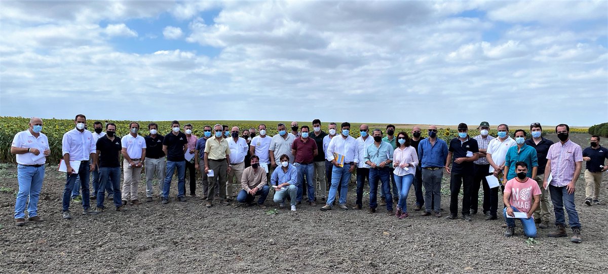 AegOrg's tweet photo. Visita a los campos de ensayo de la Plataforma de Abonado con Boro de @AegOrg, y de las redes de ensayo de girasol de @IfapaJunta y @OEVV. Este tipo de visitas nos permite de debatir y cambiar impresiones con el objetivo de conseguir un futuro mejor para el cultivo del girasol https://t.co/l6SjzGR6jq