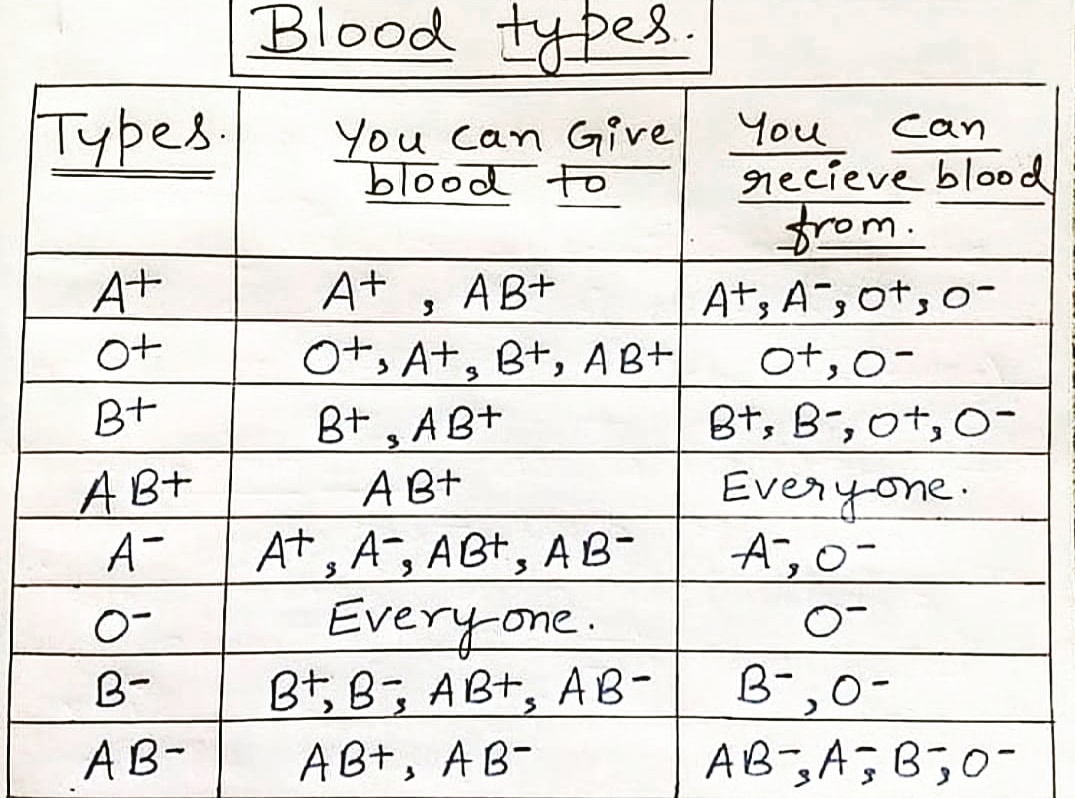 Topclass_Edu's tweet photo. Blood Types  

Follow: @Topclass_Edu

#UPSC #gk #science #motivation #knowledge #school #learning #ias #inspiration #fact #study #sscgl #ibps #ips #gpsc #tech #ssc #lbsnaa #gktricks #Physics #teacher #english #student #engineering #upscexam #news #history #education #biology #ifs https://t.co/mX2FQdhiou