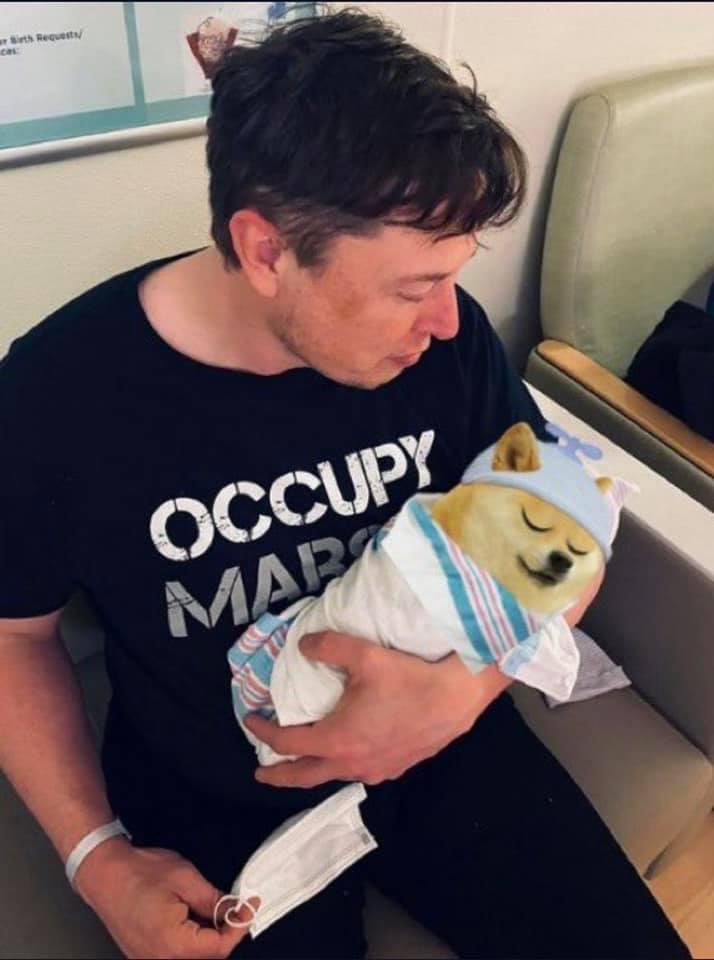 DirkFrick's tweet photo. @DirkFrick Happy Father’s Day to all my dogecoin dads https://t.co/wTbq3feswK