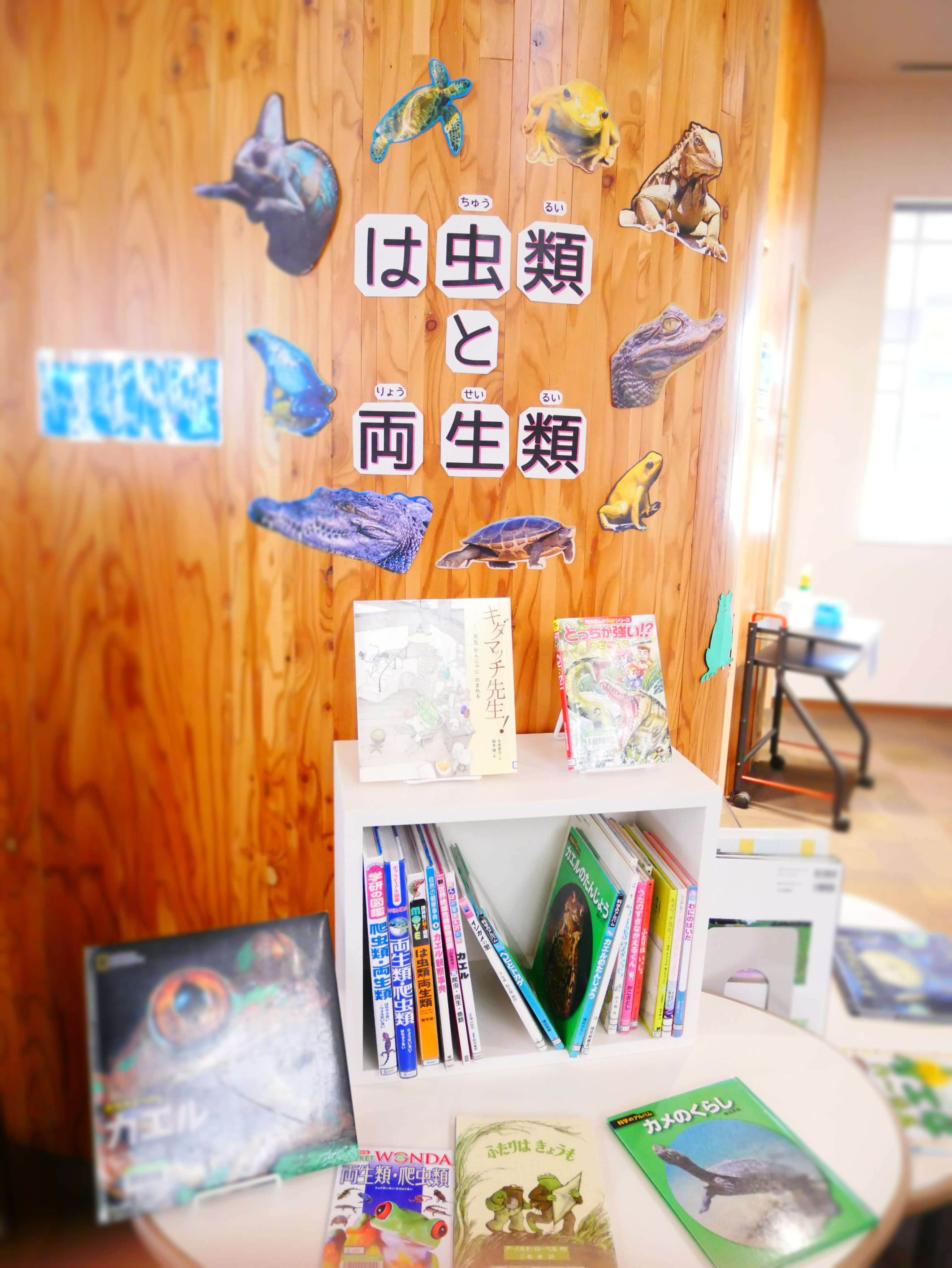 تويتر 斜里町立図書館 على تويتر 6 7月の月展示 小学生向けオススメ本 は虫類と両生類 は虫類や両生類 それぞれの生き物が出てくるお話や特徴がわかる図鑑などを展示します 中高生向けオススメ本 世界の絶景を独り占め 将来海外旅行に行ったら見