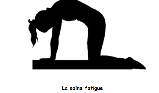 lafeedusud's tweet photo. Connaissez- vous la fatigue qui guide et enseigne ?
Suivez le lien :
https://t.co/9QMekUycoH
#acoupdelles #newsletter #sainefatigue #pleineforme https://t.co/Tp1w5ISpfi