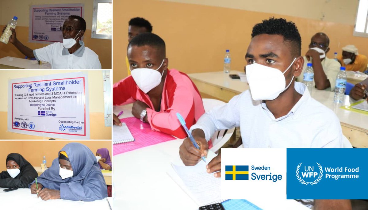 WFPSomalia's tweet photo. Thanks to donor partners like @Sida @SwedeninSomalia, WFP is able to train smallholder farmers in #Somalia - such as this group in Beledweyne - on post-harvest loss reduction, market access &amp; more. This enables them to increase their yields &amp; build resilience to #climateshocks. https://t.co/SegAAg9wbf
