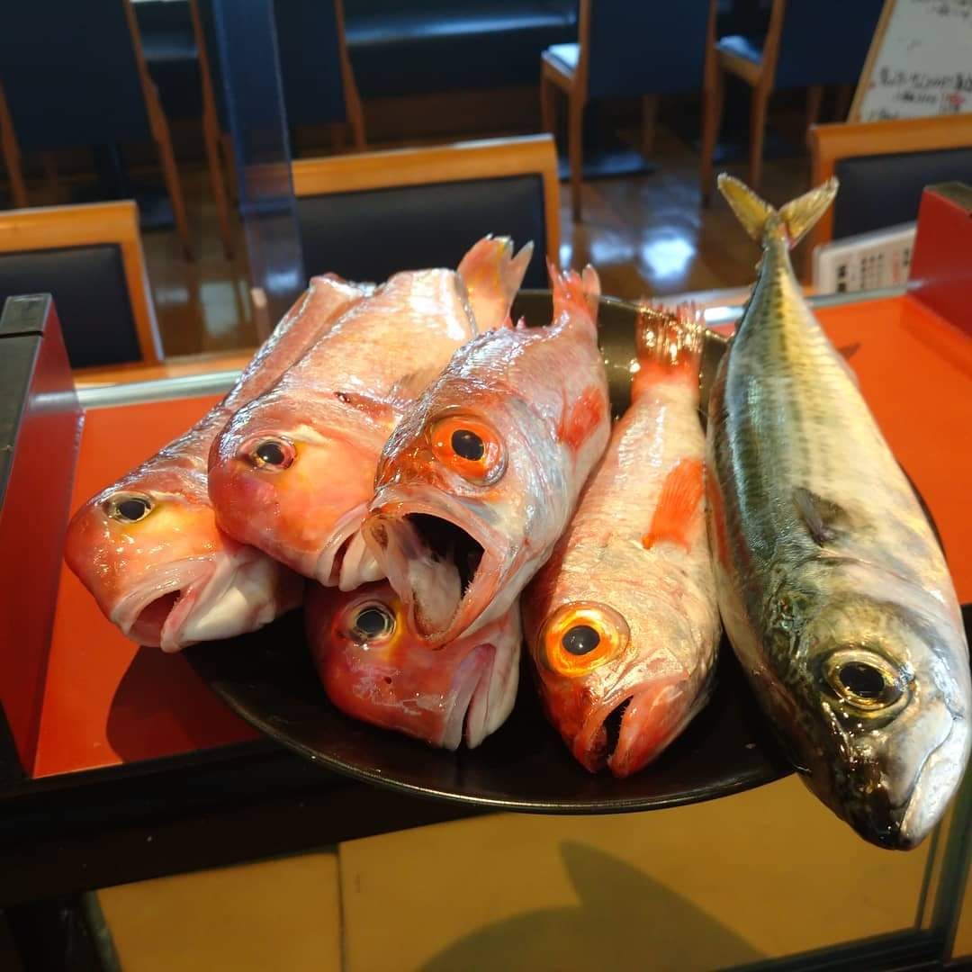 みんなの 丼 寿司 口コミ 評判 3ページ目 食べたいランチ 夜ごはんがきっと見つかる ナウティスイーツ