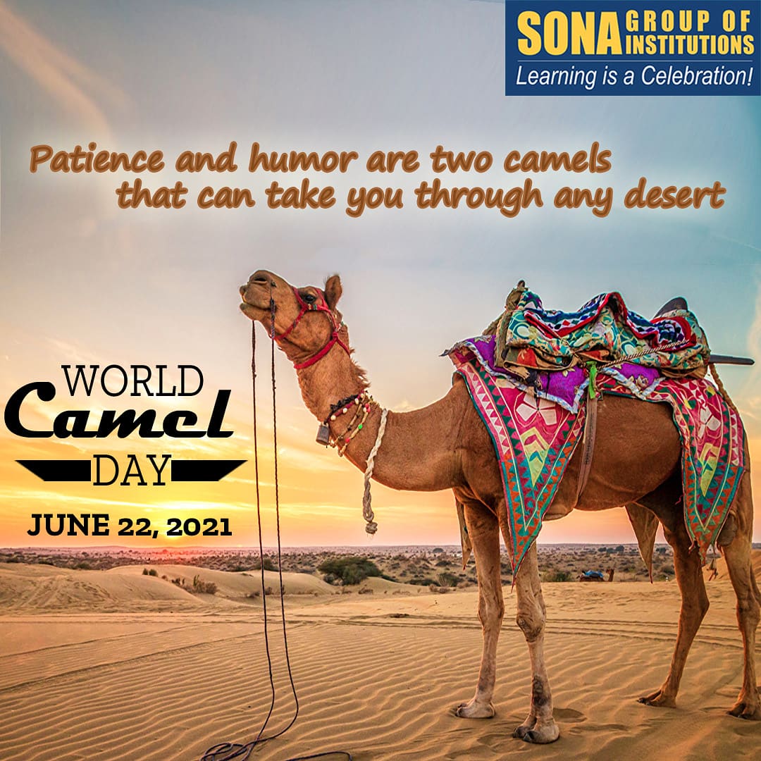 sona_vp_school's tweet photo. #Camels have played a big role in humanity’s progress. We support actions that make a difference to camels’ wellbeing. #camelday #camelsday #worldcamelday #camel https://t.co/5WEyNQDota