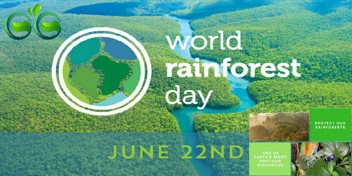GGreenary's tweet photo. Let us leave our generations to come with a planet full of rainforests.
#ngo #ngokharagpur #RainforestDay #rainforest #saverainforest #saveenvironment #savenature #TakeABreath #ThankARainfores #rainfores #nature #jungle #wildlife #forest https://t.co/dvwFQ922UU