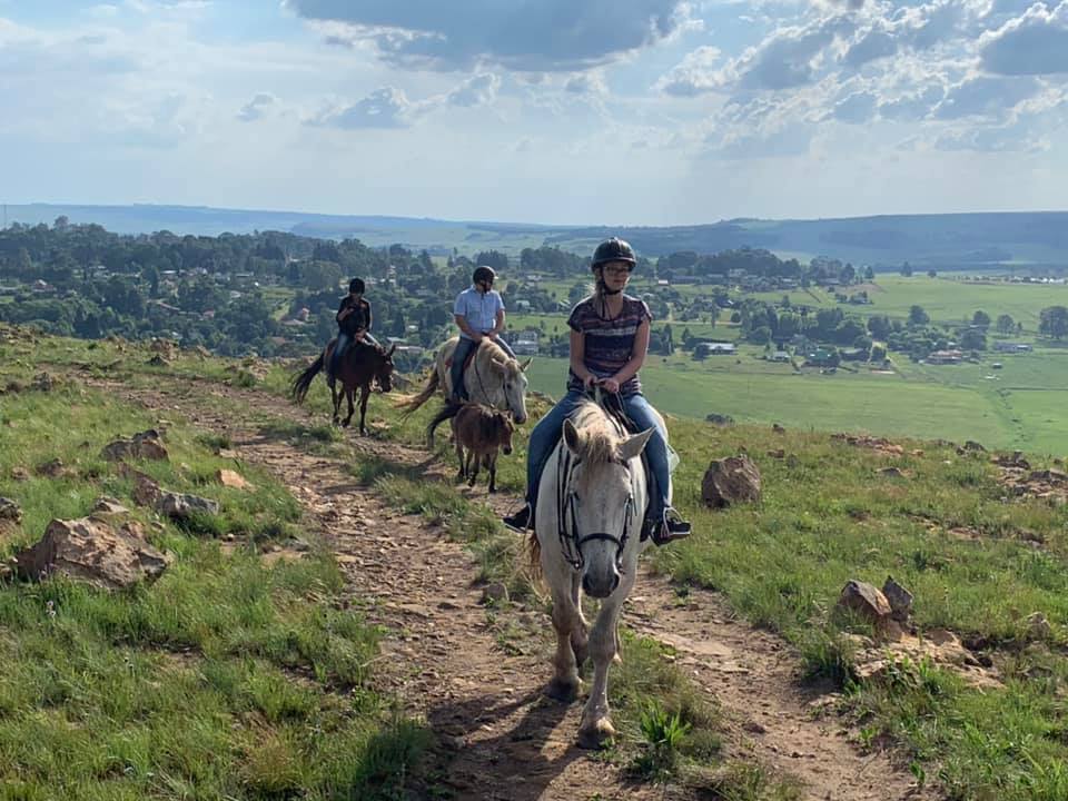 A must do when in Dullstroom! contact dullstroom_on_horseback  
064 552 3727