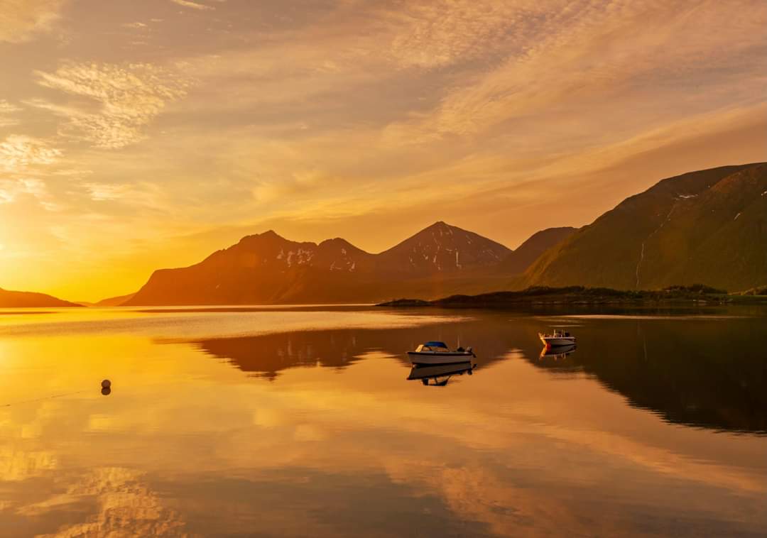 elusive_moose's tweet image. Summer night, Kvaløya, Tromsø 😎 Photo Eva Kristiansen #Norway #Arctic #midnightsun @Northern_Norway