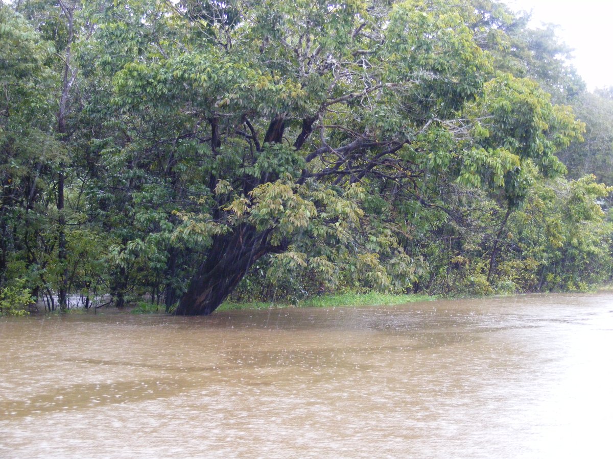 chrisd_jones's tweet image. Happy #WorldRainforestDay! A thread on their importance and how research fits into the landscape of global climate modelling, mitigation and adaptation advice and our ability to meet our climate goals. @W_RainforestDay @MetOffice_Sci #CSSPBrazil. 1/9