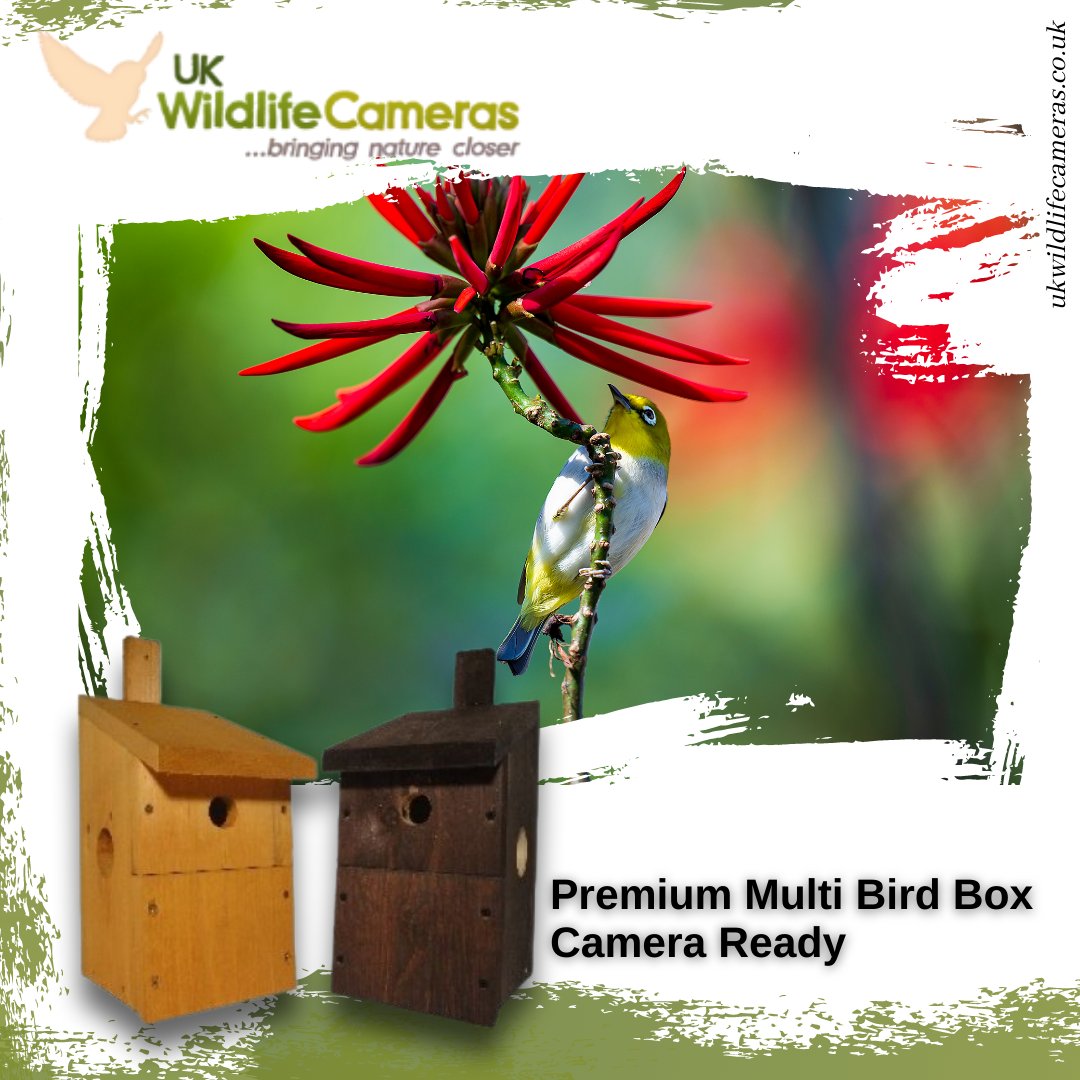 This is a camera-ready nest box, made from 21mm pine. Fully assembled with a two-section front side window predrilled and available in two colours.

To learn more about our products, visit our website at ukwildlifecameras.co.uk

#ukwildlifecamera #wildlife #trailcams