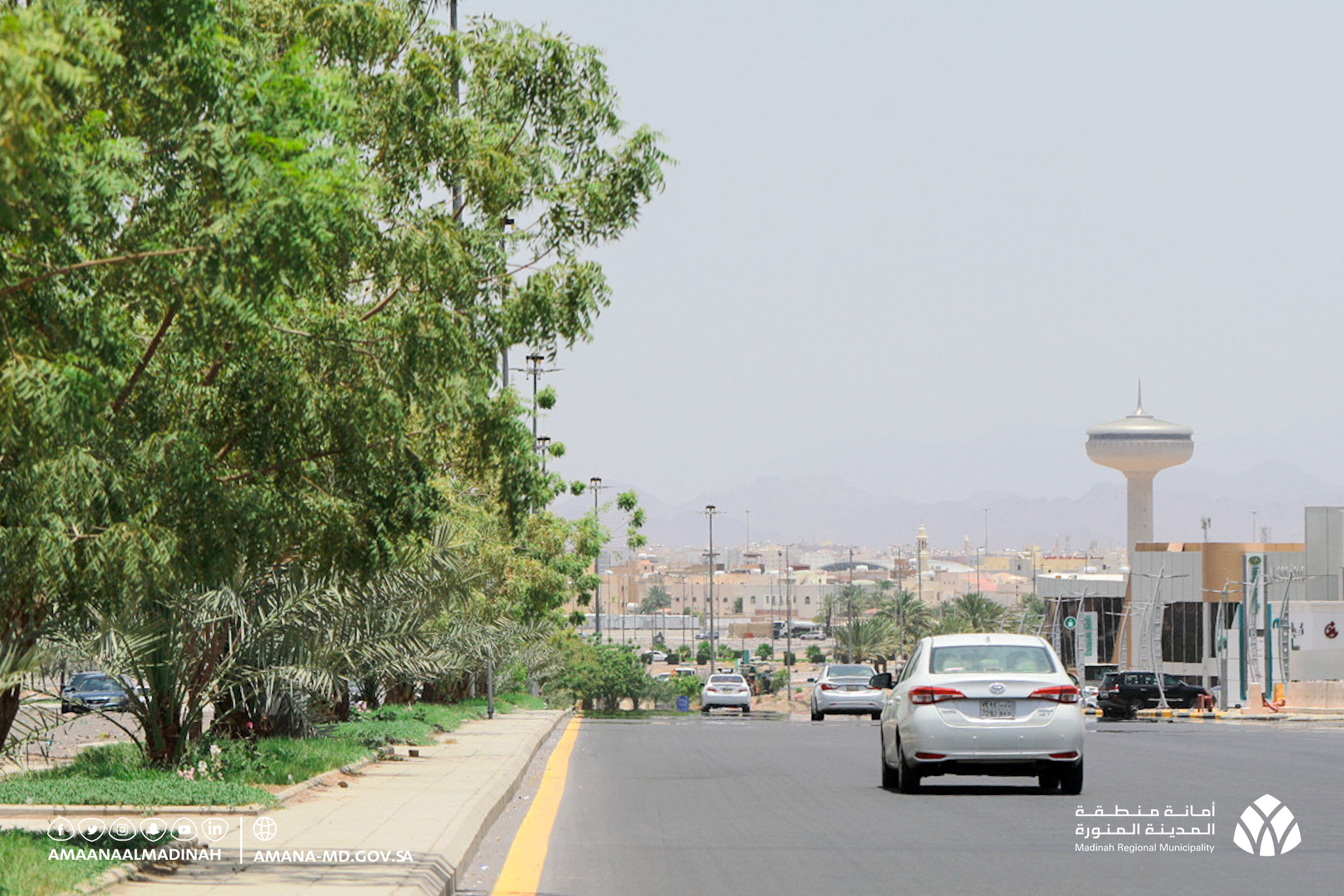 أمانة منطقة المدينة المنورة On Twitter المدينة أمانة لتحسين المشهد الحضــري في الشـوارع والميـادين العامة صور لأعمـال الزراعـة في حي الراية حي السيح جادة قباء المدينة المنورة Https T Co Jwbb1sh3lq Twitter