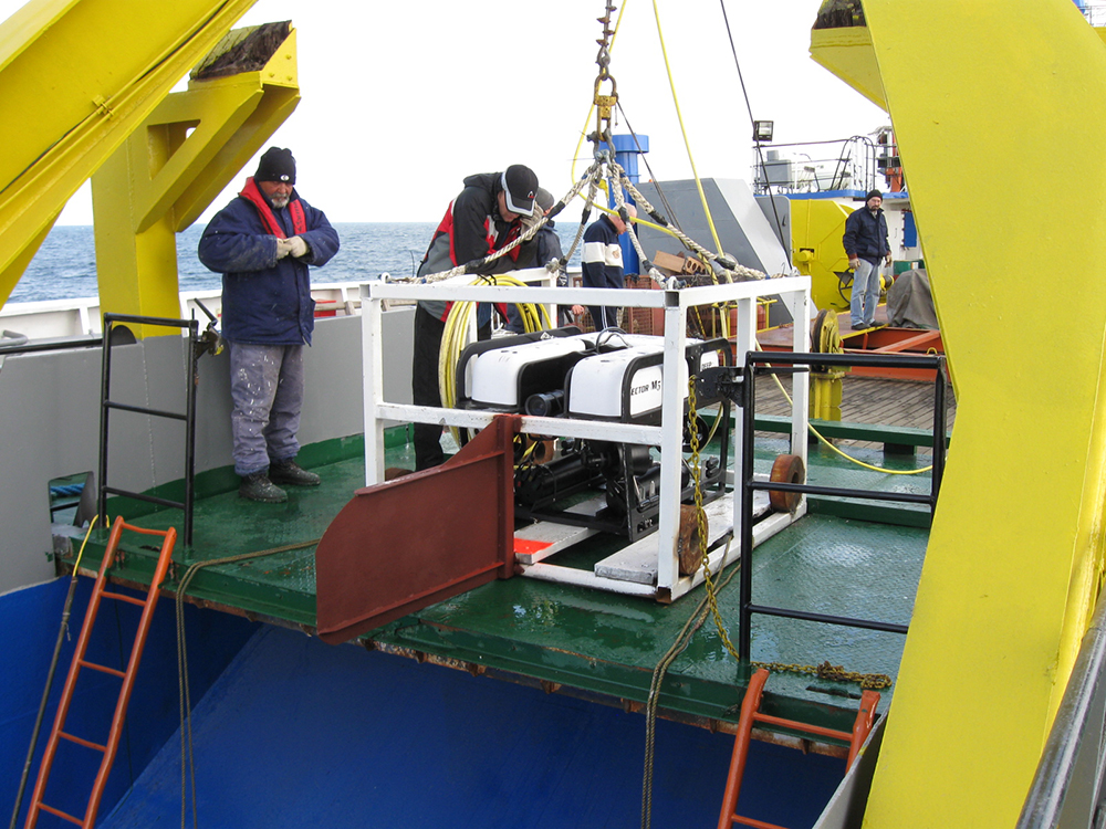 deep_ocean_inc's tweet photo. What is the Deep Ocean Engineering Advantage?  

We are a California-based company focusing on high-quality, home-grown technology, comprehensive ROV-operation training, and instant after-sales service.

#DOE #DeepOceanEngineeringAdvantage #California #HomeGrownTech #ROV https://t.co/8cfiJJg1Fq