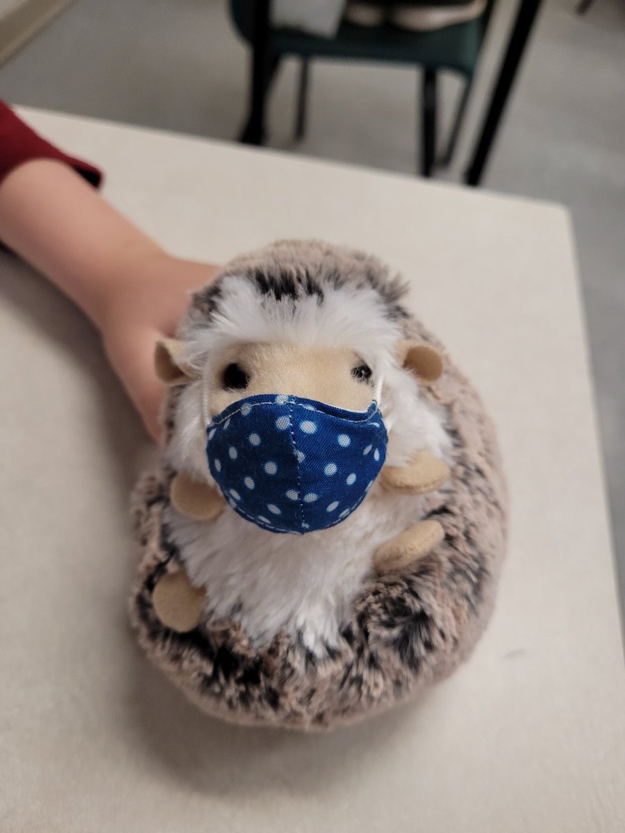 CMChiasson's tweet photo. Jammie day! Even our stuffies are being Covid safe! https://t.co/m3PPIGE5JX
