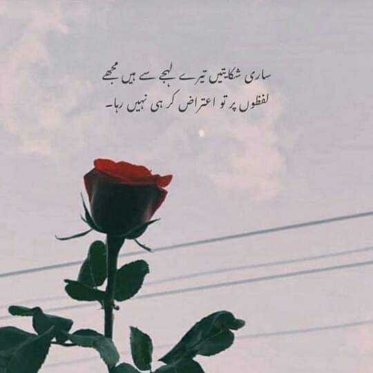 تہریم خان tweet media