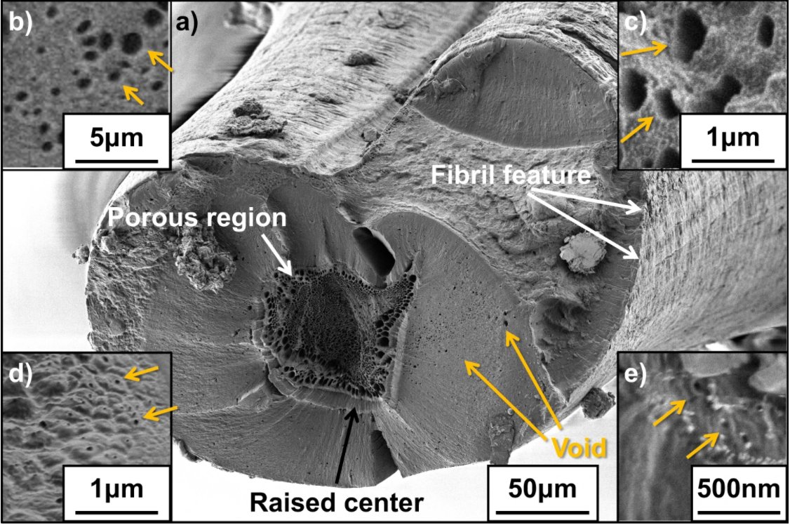 Our research into the often debated and elusive appearance of "voids" whilst silk is spun has just been published in Nature Communications! doi.org/10.1038/s41467… 

<a href="/msesheffield/">Materials at TUoS</a> #silk #research #sheffield