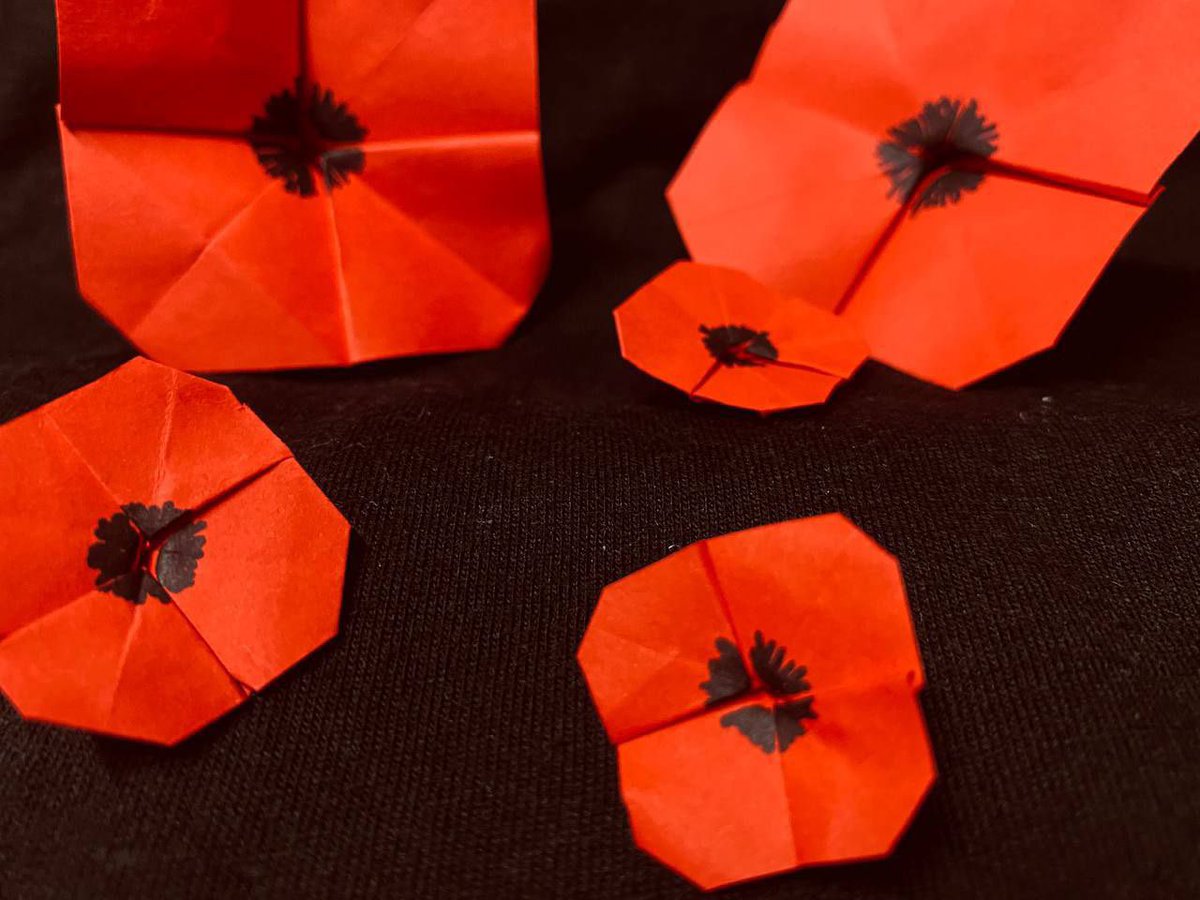 Poppy paper crafts made in honor of all fallen heroes who sacrificed their lives for Myanmar’s freedom 🌺

#RemembrancePoppy 
#WhatsHappeningInMyanmar 
#June22Coup