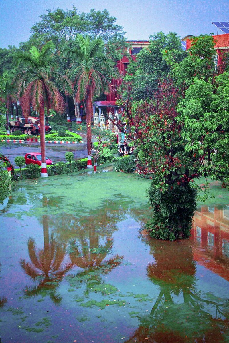 Rain is not only drops of water. It’s the love of the sky for the earth. They never meet each other but sends love this way.🌦
<a href="/themannschool/">The Mann School</a> 
#photography #PhotoOfTheDay #rain #backto2020march #twitter