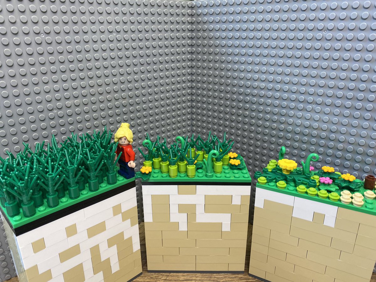 LegoForages's tweet photo. How we manage #forage above ground affects #roots underground! Well managed #grasslands have healthy roots making forage more resilient. Overgrazing/cutting too short, especially with no rest, leads to stand thinning + #ProblemPastureWeeds!
#NationalForageWeek #AFGC #LegoScience https://t.co/dUN1QAViP0