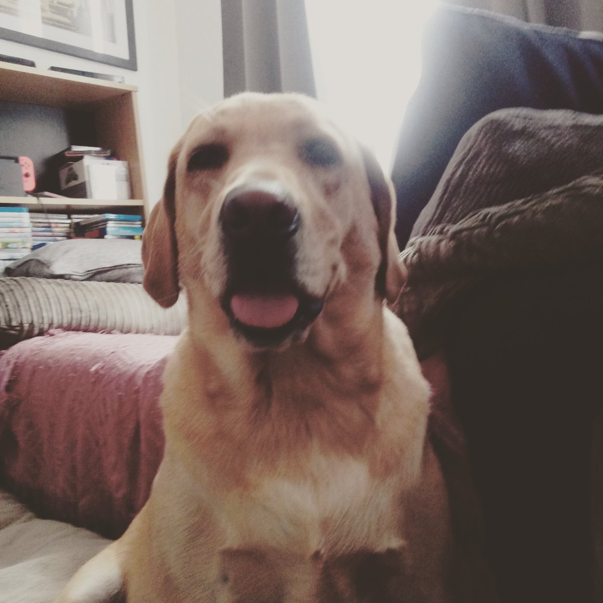 Living With Autism - A Real Life Blog (@livingwithauti4) on Twitter photo 