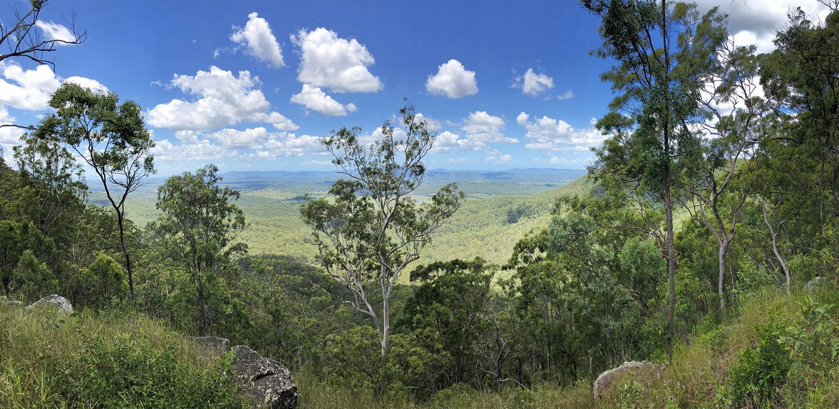 Commonwealth Canopy tweet media
