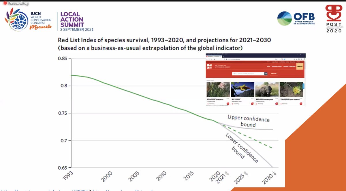 4Post2020BD's tweet photo. @IngridICLEI_AS , moderating the first #iucnlocalactionsummit webinar on #OutstandingNature
@ICLEICBC
Also read our publication on #SNLG mobilization
📰https://t.co/1vs908GTVi
#ForNature #LocalAction #IUCNCongress #COP15 #ForNature https://t.co/VQAZeLot58
