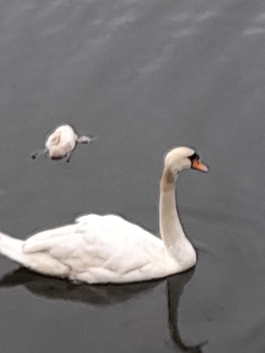 Upstreamdry's tweet image. 