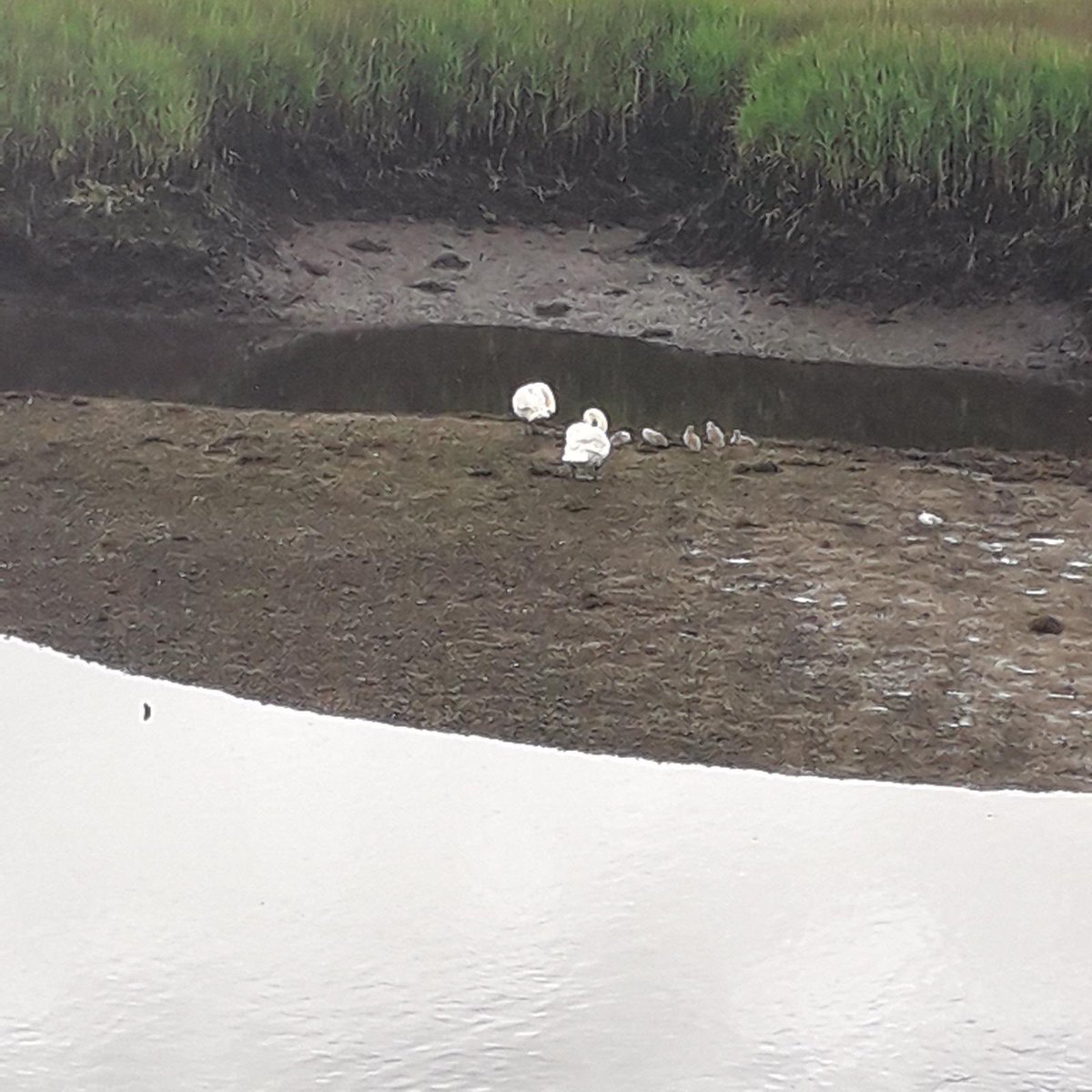 Upstreamdry's tweet image. 