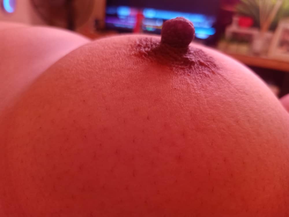LESSYCOUPLE69's tweet photo. Dia naik pulak. Ada sape sape sudi hisap puting dengan jolok lubang I? Bosan dah dengan dildo. Gersang sangat ni. https://t.co/0Jn29B5XmK