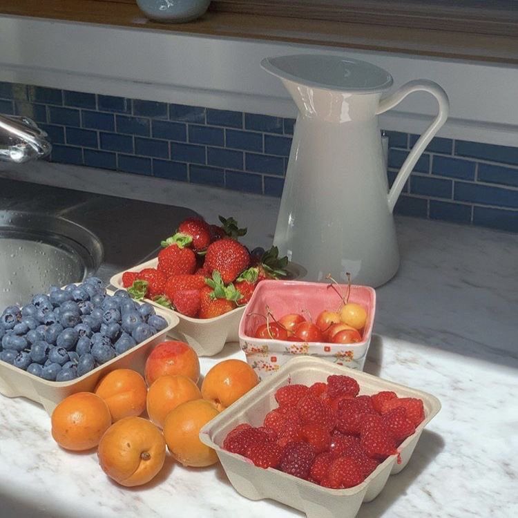 666cumcals's tweet photo. hi I’m somewhat new to edtwt and I need friends
#EDtwt #edtwt #thinspo #thinsp0 #baetwt #edtwtfoodpoll https://t.co/8OEObWlHEB