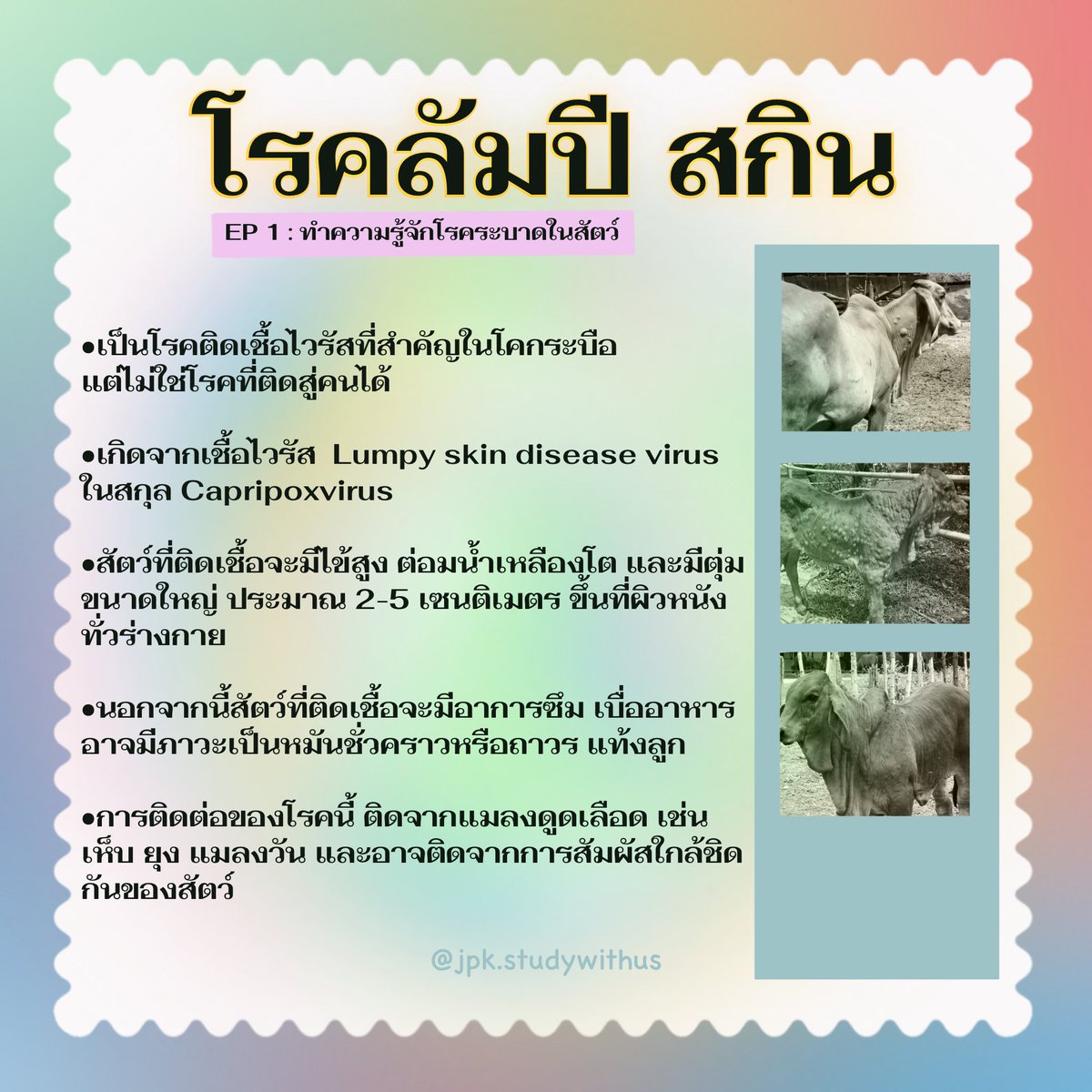 studywithus4's tweet image. 📍พามาทำความรู้จัก #โรคลัมปีสกิน 🐮✨

#studygram #studygramthailand #สาระน่ารู้ #dek65 #dek66 #dek67 #goodnotes #goodnotes5 #ลัมปีสกิน #lumpyskindisease