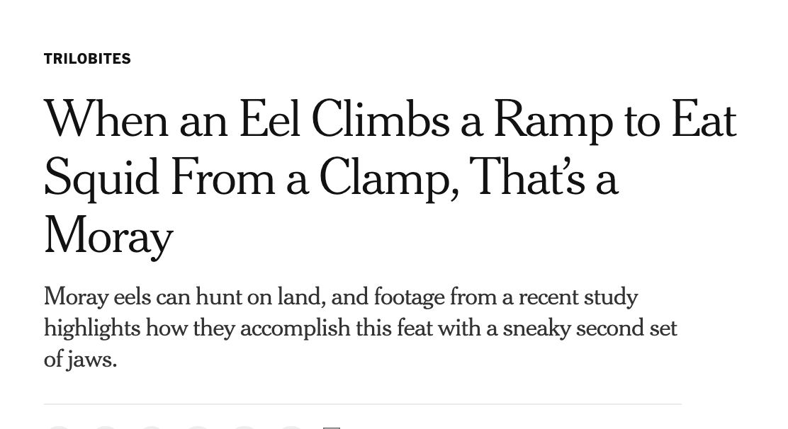 Well done, <a href="/NYTScience/">NYT Science</a>. Absolute A+++ take the rest of the month off. nytimes.com/2021/06/22/sci…