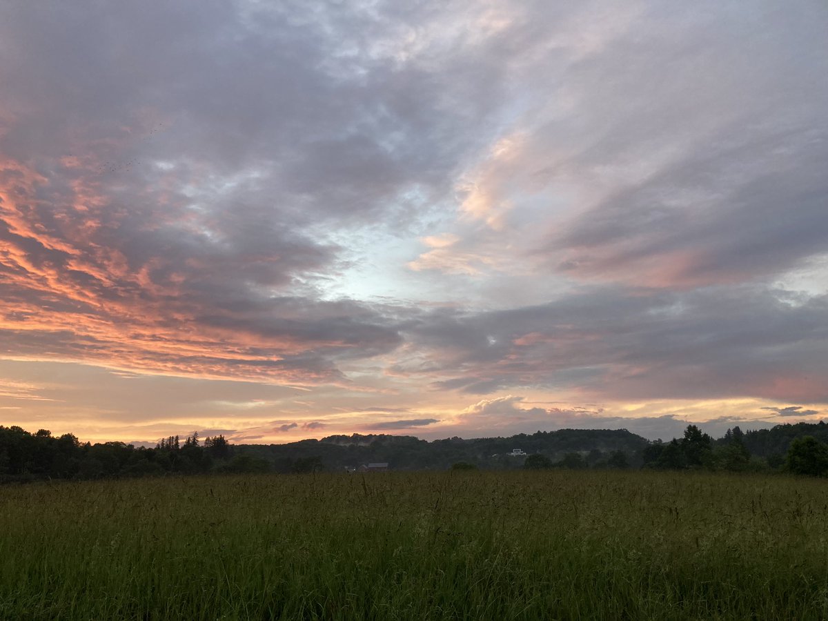 AvalonKubis's tweet photo. @sierra_kitson It was soooooo pretty last night 😩 https://t.co/gjbzaoJ6xd