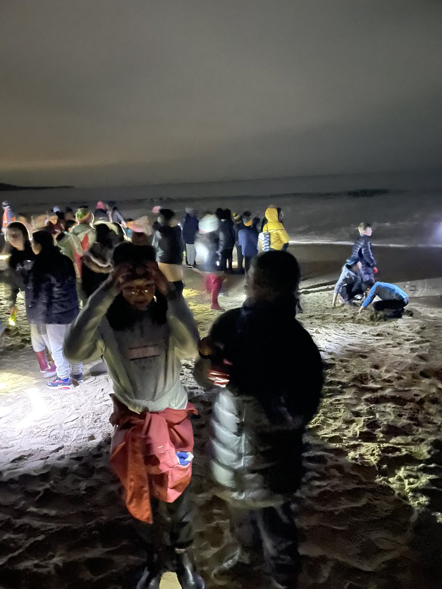 MissBell101's tweet photo. Night walk to the beach @AitkenCreekPS https://t.co/X1bHzQoEoo