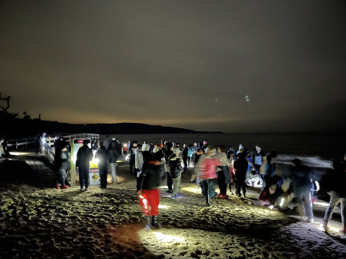 MissBell101's tweet photo. Night walk to the beach @AitkenCreekPS https://t.co/X1bHzQoEoo