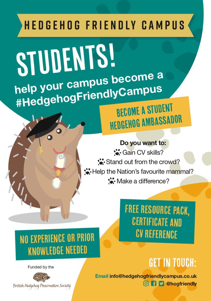 hogfriendlyUEA's tweet photo. ✨CAMPAIGN RE-LAUNCH✨
🔊 Calling all wildlife lovers!! The UEA hedgehog team is hosting a ‘re-launch’ of our campaign!
WHEN - Friday 9th July
WHERE - Zoom
TIME - 3pm tbc
Welcoming ALL newbies and introducing what we do, and our plans to achieve a GOLD AWARD https://t.co/bnv64olHYd