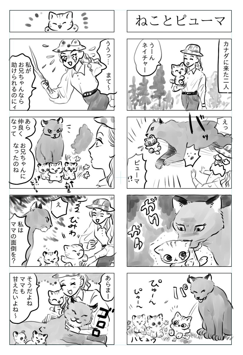 トラと陽子(再)

ピューマの赤ちゃん 