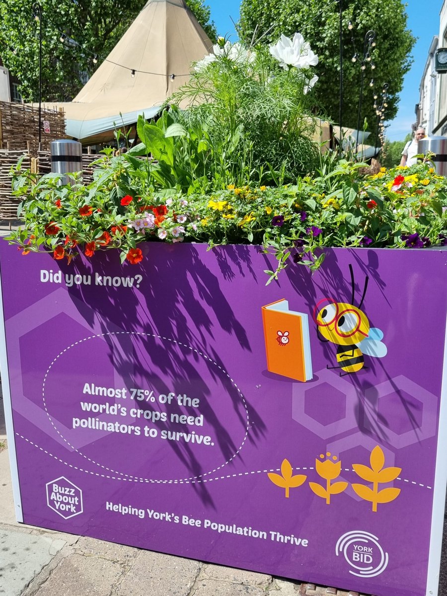 York BID creates nation’s biggest bee-friendly floral display. Graphic design by <a href="/sanedesign/">Sane Design</a> who is also a bee-keeper.
ow.ly/QEeY50FcuMy