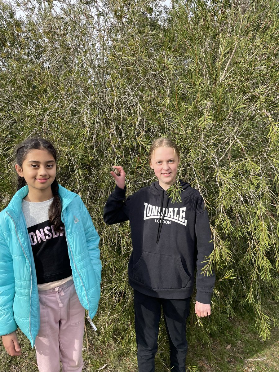 MissBell101's tweet photo. Enjoying camp @AitkenCreekPS https://t.co/oMqwzgEfk7