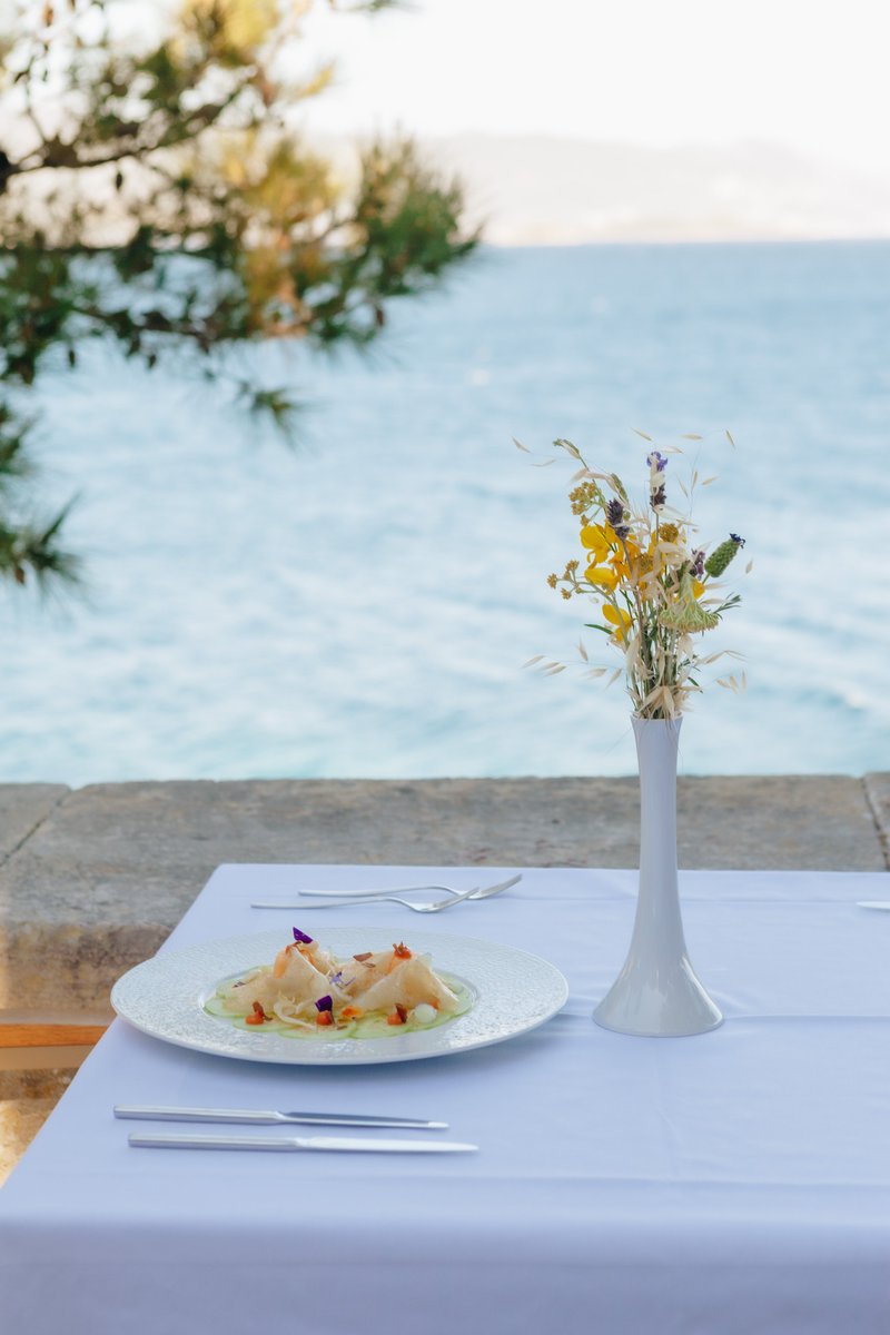 A light meal and a glass of chilled white wine served under a pine tree is all you need on such a hot day 🙂
Photo: Dea Botica
#visitkorculaisland #visitkorcula #discoverthecoloursofkorcula #discoverthecoloursofcroatia #lesicdimitripalace #wine #gastronomy #korculagastro