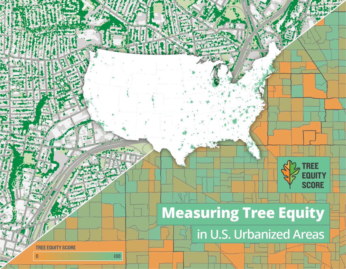 AmericanForests's tweet photo. BREAKING: Today, we released nationwide #TreeEquity scores for 486 urbanized areas of the US and their 150,000 neighborhoods. Find your score: https://t.co/my3vXRwHRb https://t.co/T6bZigvgJp
