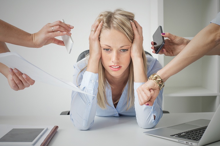 #chestertweets (@chestertweetsuk) on Twitter photo #chesterhour
Have you ever felt that you would like to #tender but were put off by the seemingly complex and cumbersome process? <a href="/ProcurementSvcs/">Richard Carr Consultancy Services</a> can help orlo.uk/3CpvD #chesterhour
Have you ever felt that you would like to #tender but were put off by the seemingly complex and cumbersome process? <a href="/ProcurementSvcs/">Richard Carr Consultancy Services</a> can help orlo.uk/3CpvD