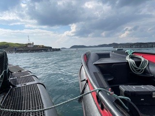 Salmon Scotland tweet media