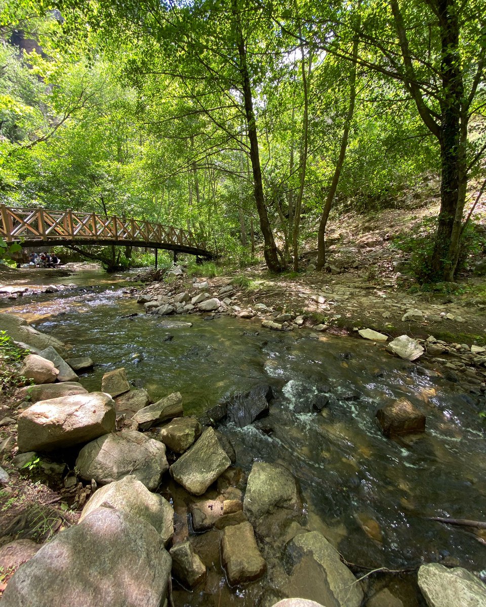 bursaturizmtb's tweet photo. Sadağı Kanyonu 🍃🍃🍃

#bursakültürturizmvetanıtmabirliği #bursa #bursadayım #bursagüzeldir #hellobursa #bursasizeçokyakın #bursabirşehirdenötesi #bursadoğa #bursatarihişehir #doğaharikası #sadağıkanyonu #orhaneli https://t.co/JWrnmzI2Ni