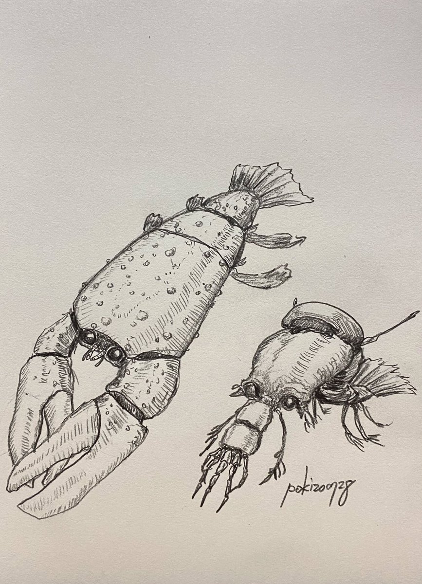 #かにの日 #カニの日
カニは描いてませんでした😝 