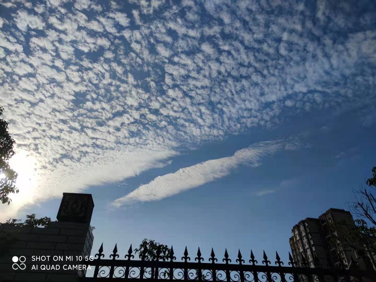 Mark_of_Cane's tweet photo. what a beautiful cloud.. https://t.co/BVNSYZYEzS