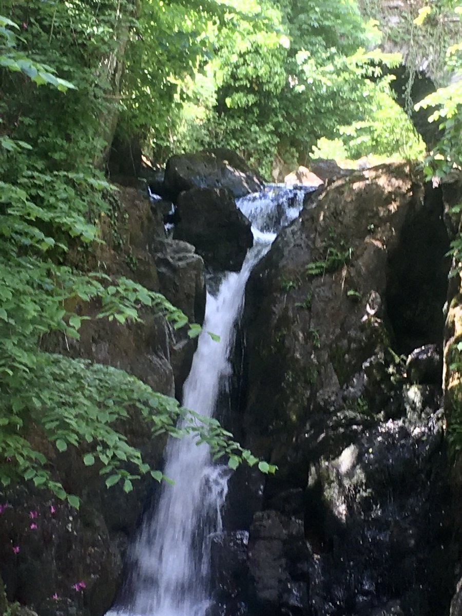 RoyallMargaret's tweet photo. For #TopTweetTuesday today,@blackboughpoems and our host today @SandiferSmith (welcome & thank you for reading our work) Iโm offering a magic realism poem relating to my recent writing retreat at Rydal, Wordsworthโs home #RydalMount ( in photo). https://t.co/khzor7HBdl