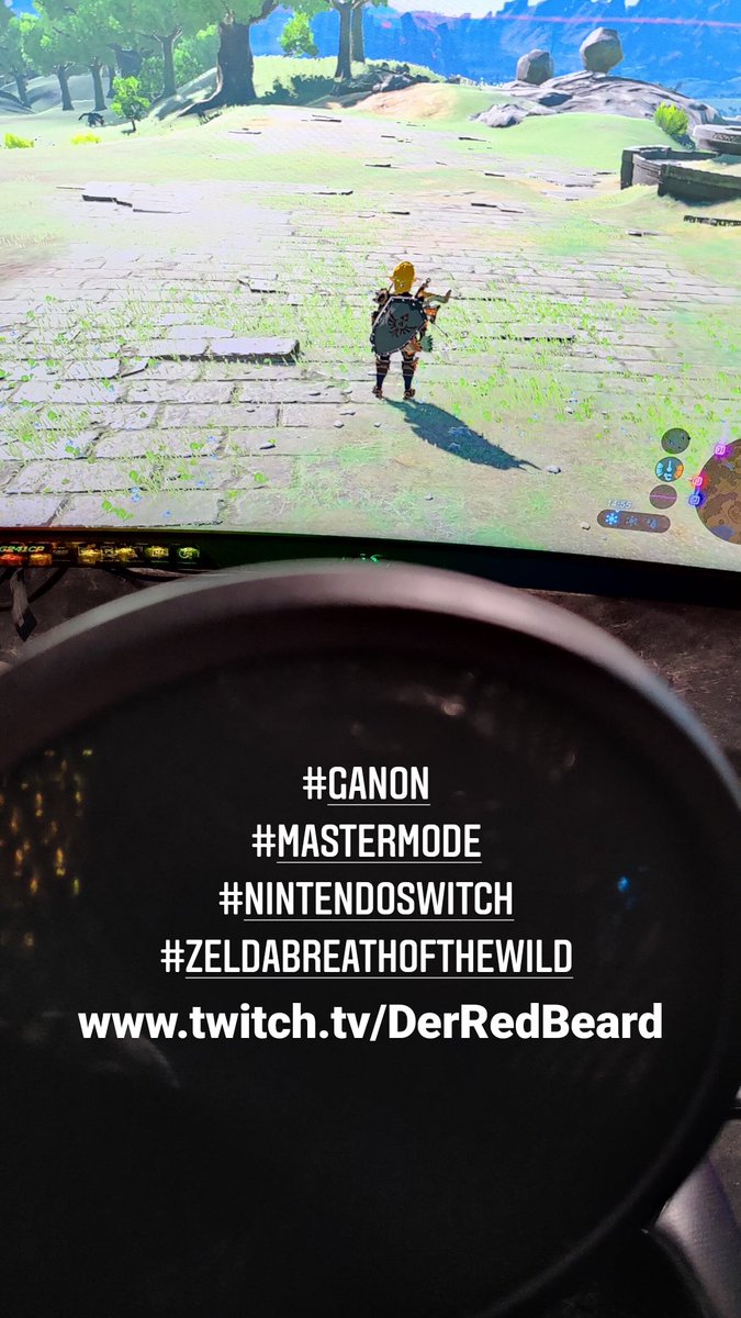 DerRedBeard's tweet photo. https://t.co/xt5KaclpT9
Mastermodus! - Ganon ? 

#Zelda 
#BreathoftheWild 
#mastermode 
#NintendoSwitch 
#SupportSmallStreamers 
#twitch https://t.co/yirVOWzmpv