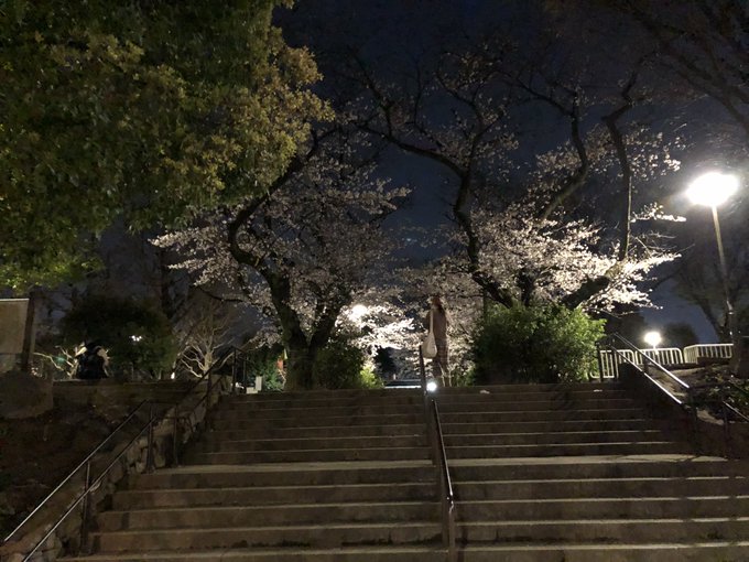 偶然撮った写真🤳 https://t.co/TCebMgOlOD